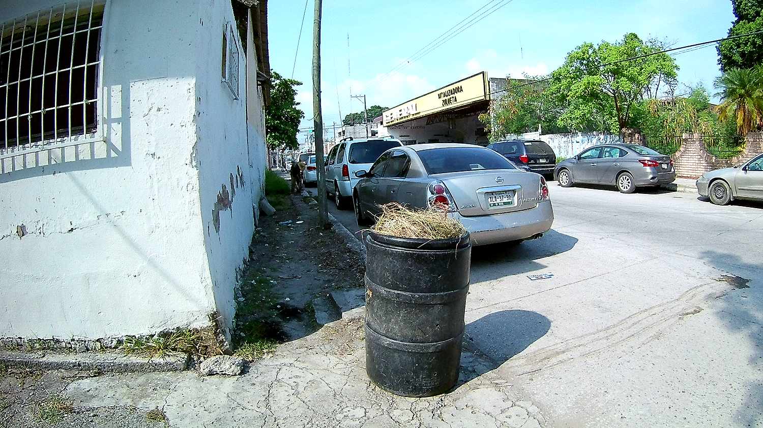 oca2