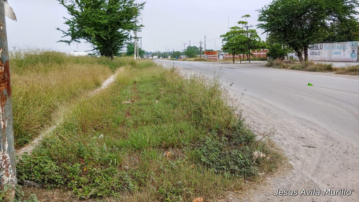 IMG-20191016-WA0004
